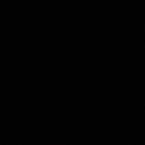 Meet your Posher, Milo